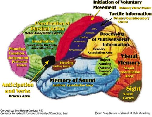 brainmap.jpg
